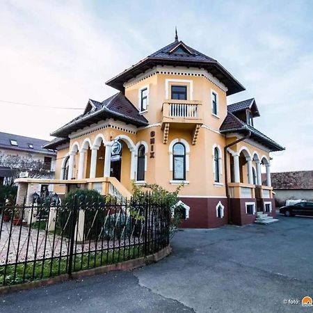 Pensiunea Onix Fagaras Luaran gambar