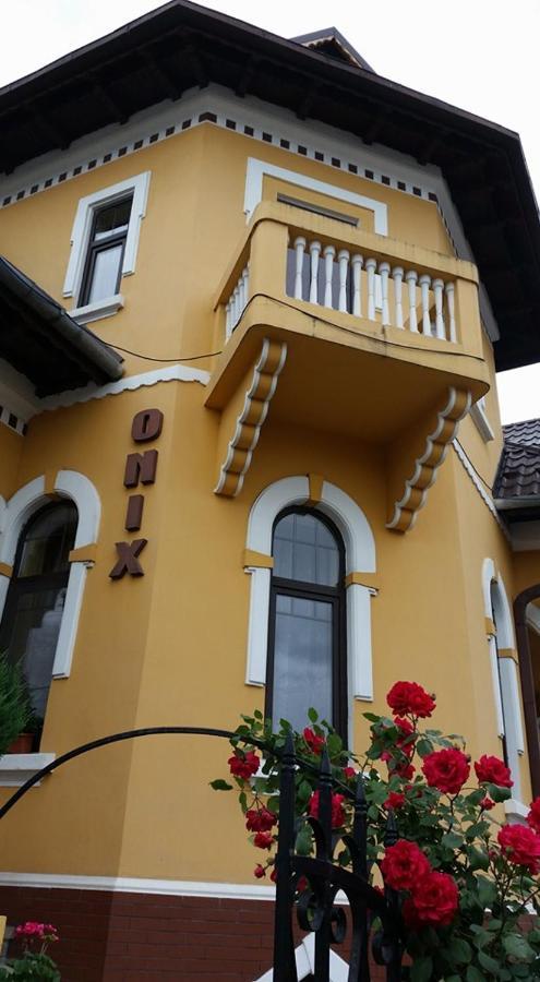 Pensiunea Onix Fagaras Luaran gambar