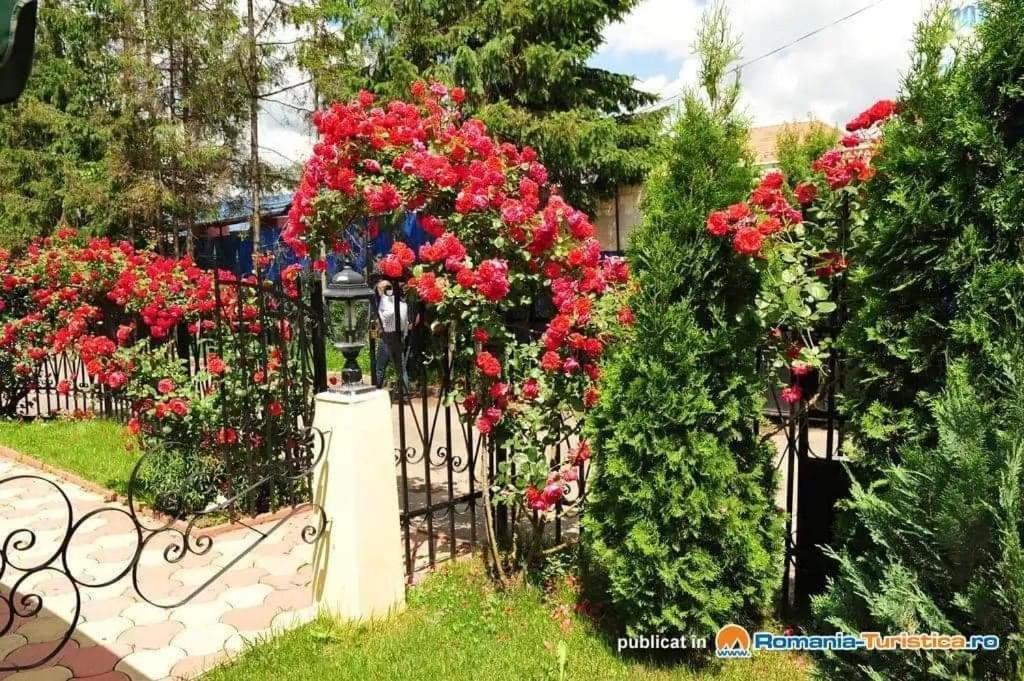 Pensiunea Onix Fagaras Luaran gambar