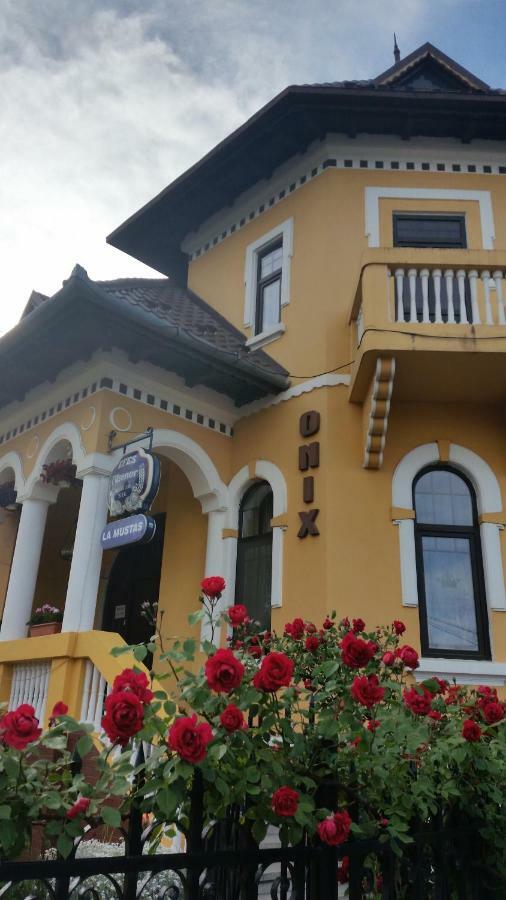 Pensiunea Onix Fagaras Luaran gambar